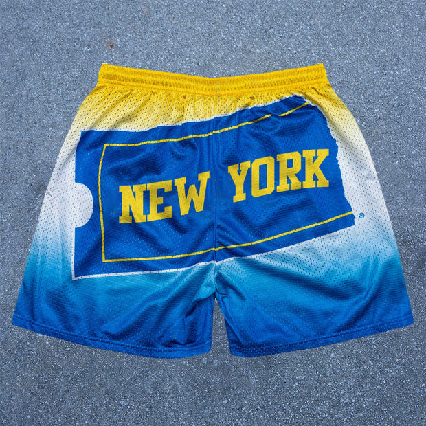 Gradient Butterfly New York Fashion Mesh Shorts