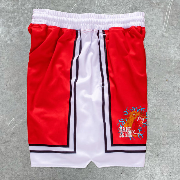 Fashion Contrast Patchwork Sports Basketball Pants