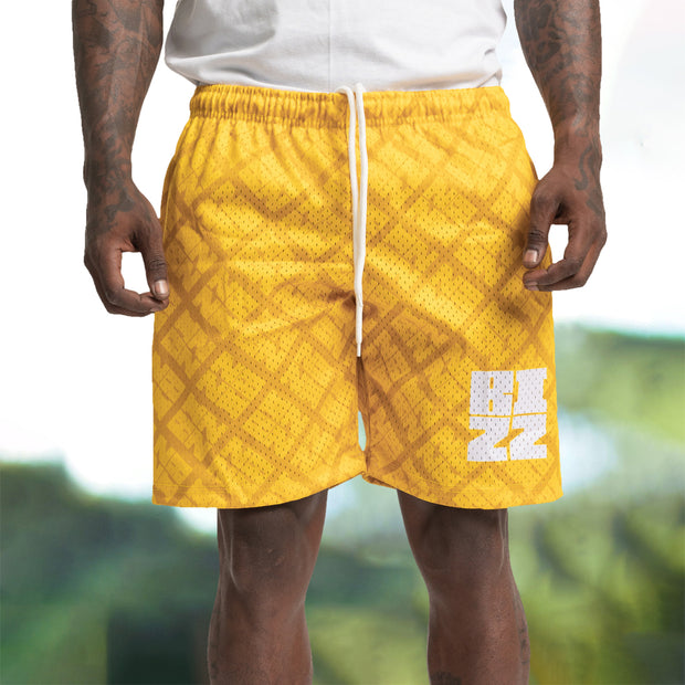 Fashion brand outdoor sports mesh shorts