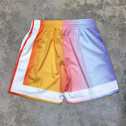 Casual Contrast Panel Sports Basketball Shorts